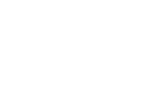 obiective