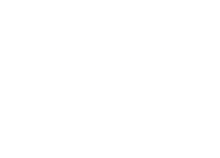 staff tehnic